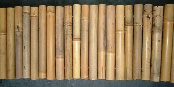 Bamboo Garden Edging – Natural Landscape Border for Flower Beds, Paths &amp; Lawns