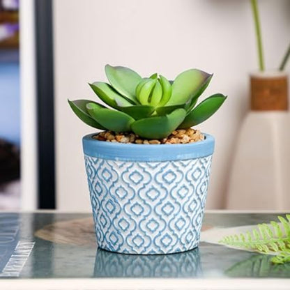 Artificial : Gorgeous Succulent in Ceramic Pot