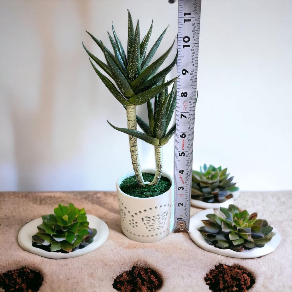 Artificial : succulent in ceramic pot