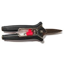 Needle Nose Secateurs