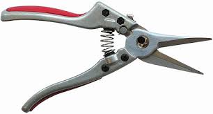 Long Needle Nose Secateurs
