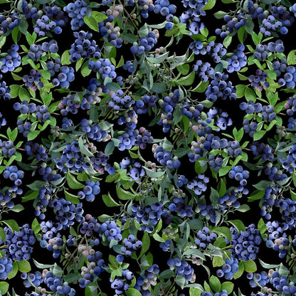 Delite Blueberry Bush