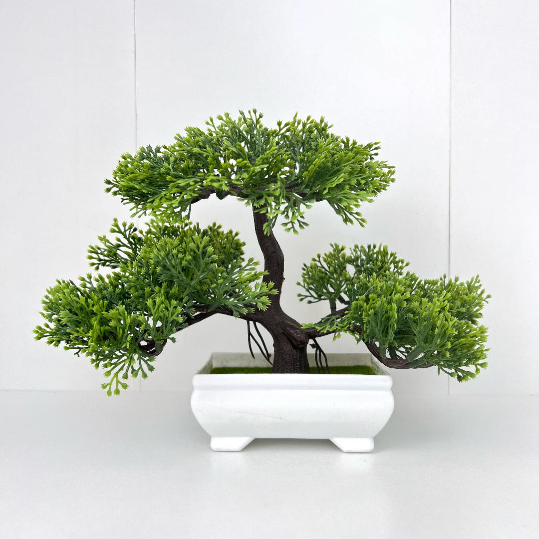 Gorgeous Green Three-Tiered Bonsai