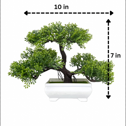 Gorgeous Green Three-Tiered Bonsai