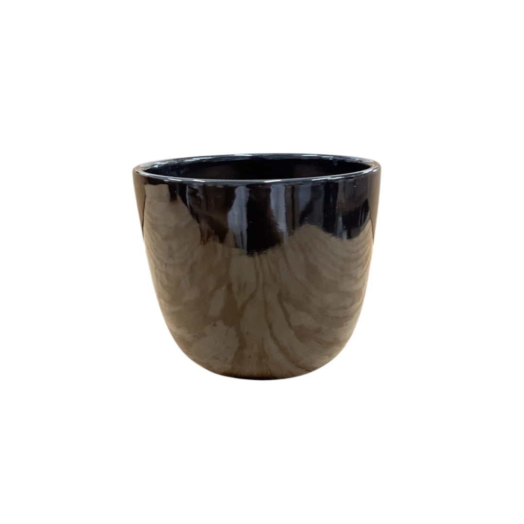 Glossy Black Ceramic Planter &amp; Pot