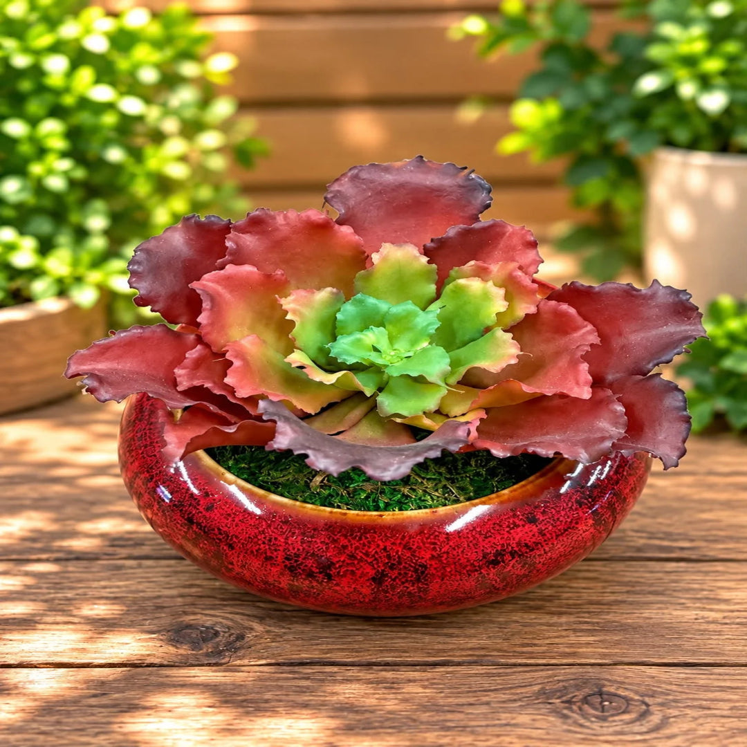 Artificial Red Ruffled Echeveria Succulent in  Ceramic Pot