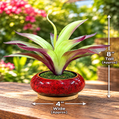 Artificial Tradescantia Spathacea (Moses in the Cradle) in Decorative Ceramic Pot