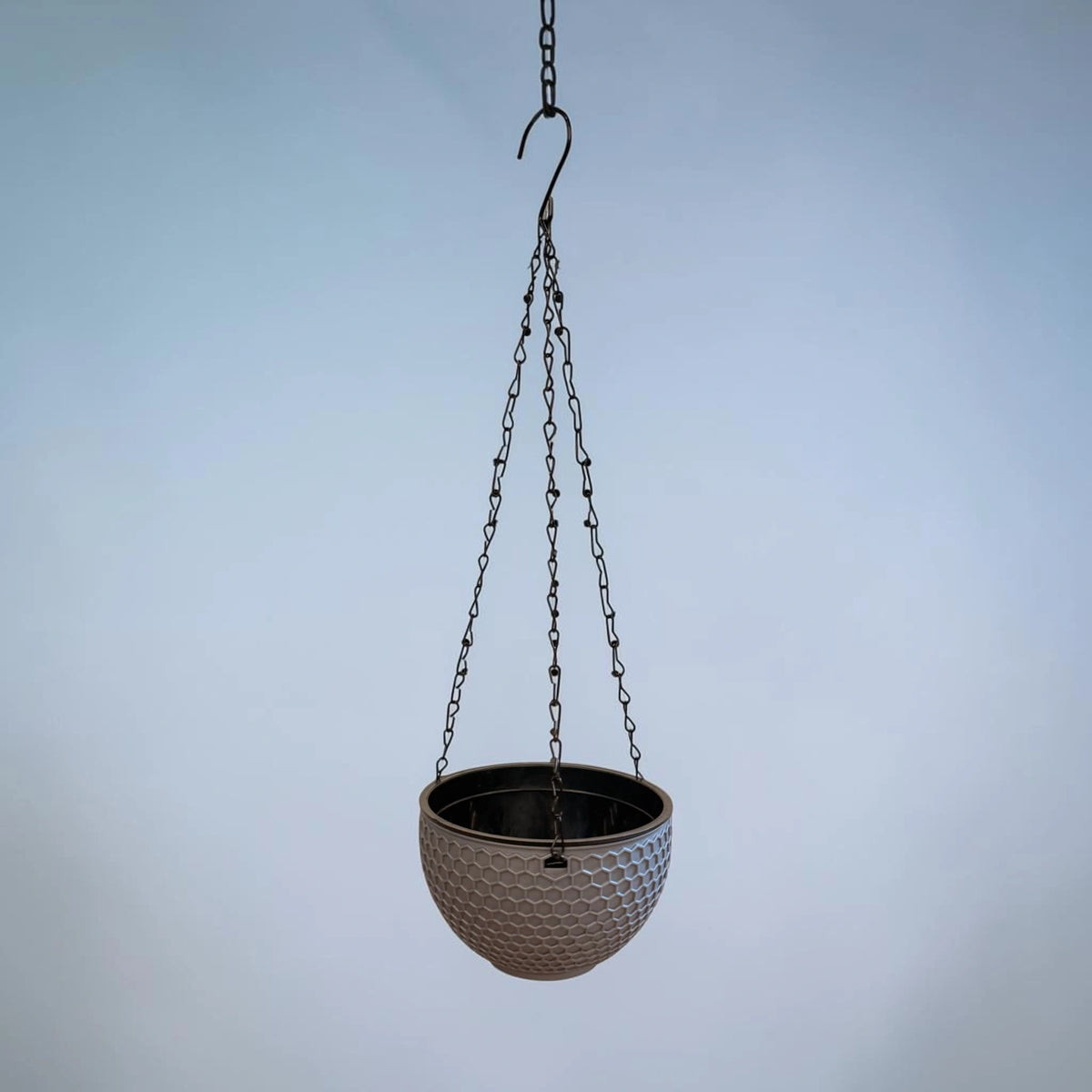 Self Watering Hanging Baskets