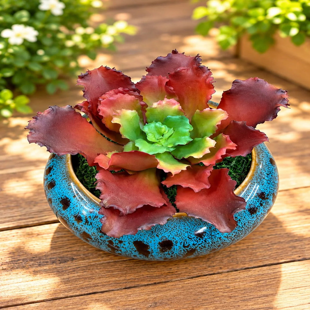 Artificial Red Ruffled Echeveria Succulent in  Ceramic Pot