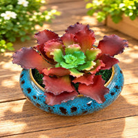 Artificial Red Ruffled Echeveria Succulent in  Ceramic Pot