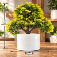 Artificial Yellow Blossom Bonsai Tree in White Pot