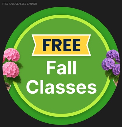 Free Classes