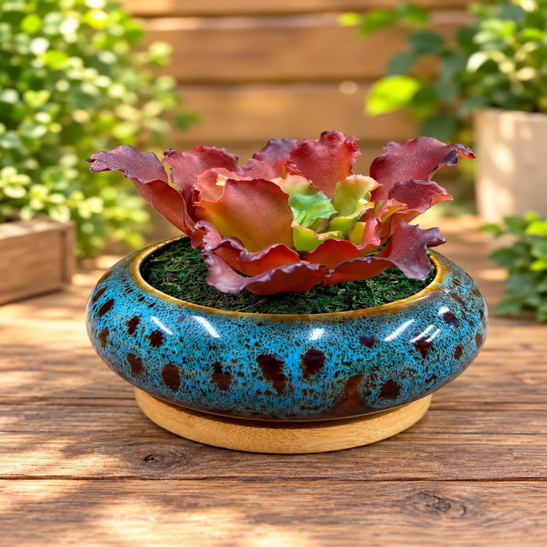 Artificial Red Ruffled Echeveria Succulent in  Ceramic Pot