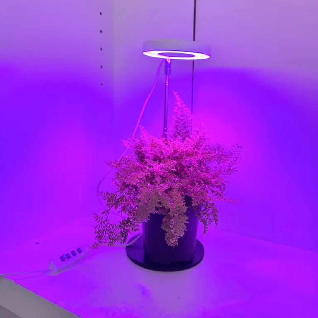 LED Plant Grow Light