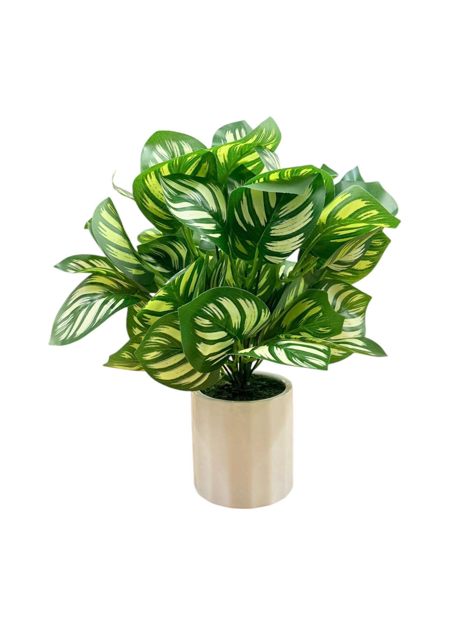 Artificial Peacock Plant