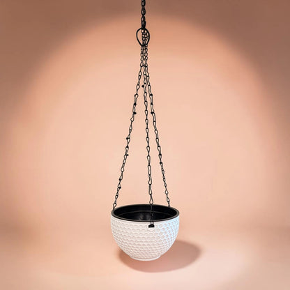 Self Watering Hanging Baskets