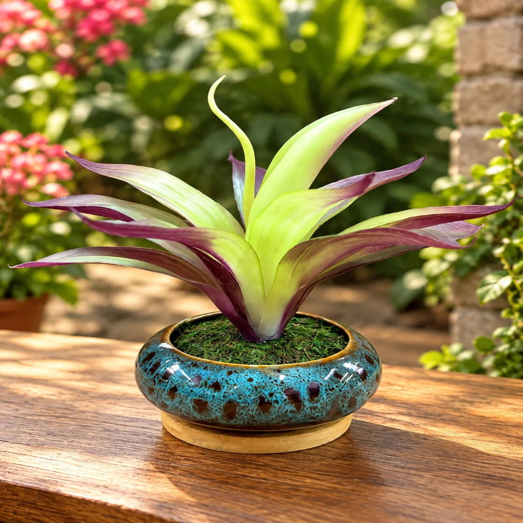 Artificial Tradescantia Spathacea (Moses in the Cradle) in Decorative Ceramic Pot