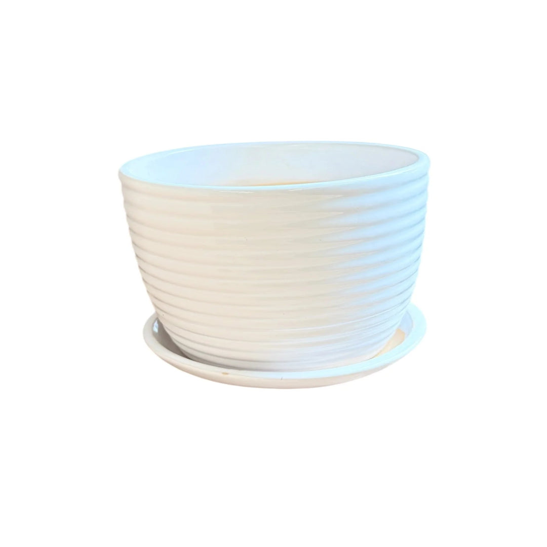 White Ribbed Ceramic Plant Pot with Saucer