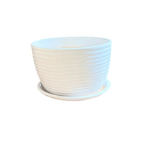 White Ribbed Ceramic Plant Pot with Saucer