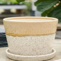Speckled Ceramic Planter with Saucer – Mustard & Cream