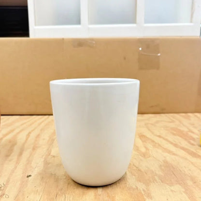 Modern White Ceramic Plant Pot for Indoor Plants