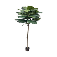 5' CLUSTER FIDDLE TREE W/ 44 LEAVES