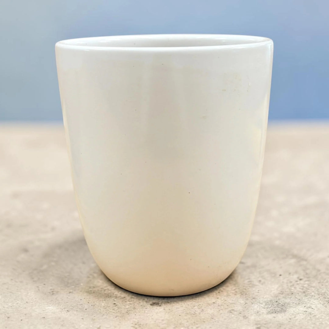 Modern White Ceramic Plant Pot for Indoor Plants