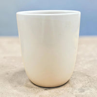 Modern White Ceramic Plant Pot for Indoor Plants