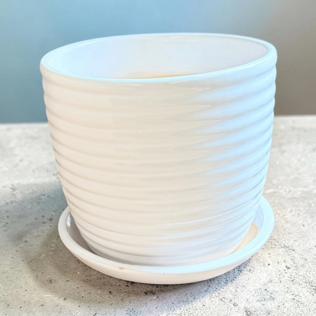 White Ribbed Ceramic Plant Pot with Saucer