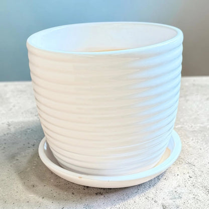 White Ribbed Ceramic Plant Pot with Saucer