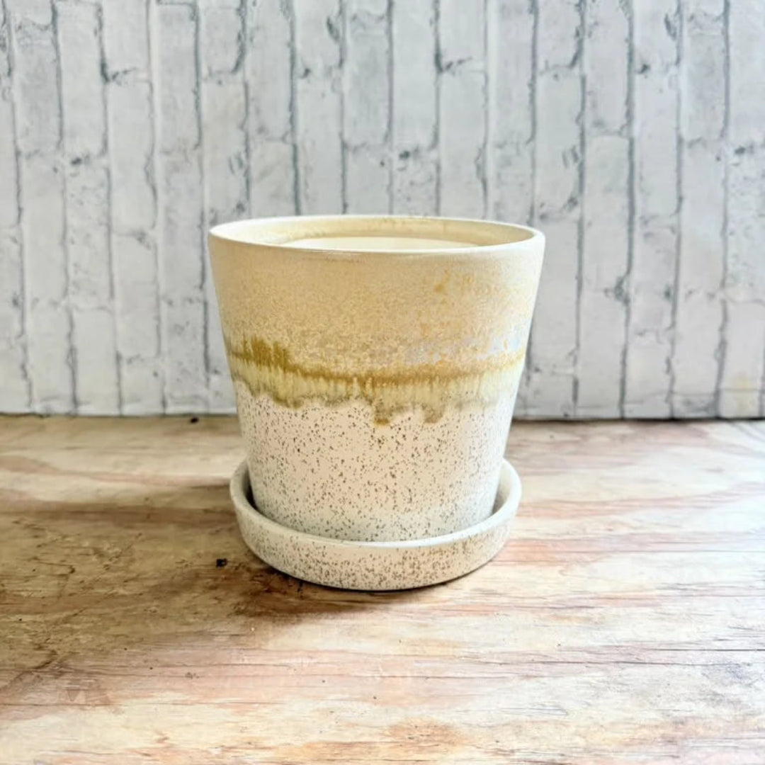 Speckled Beige Ceramic Planter Pot with Saucer