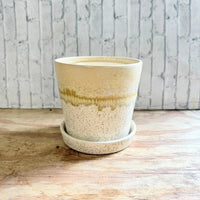 Speckled Beige Ceramic Planter Pot with Saucer