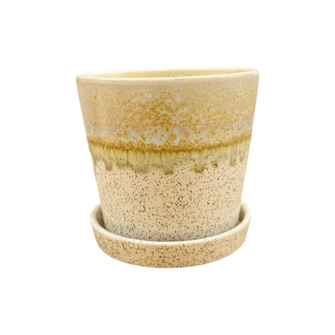 Speckled Beige Ceramic Planter Pot with Saucer