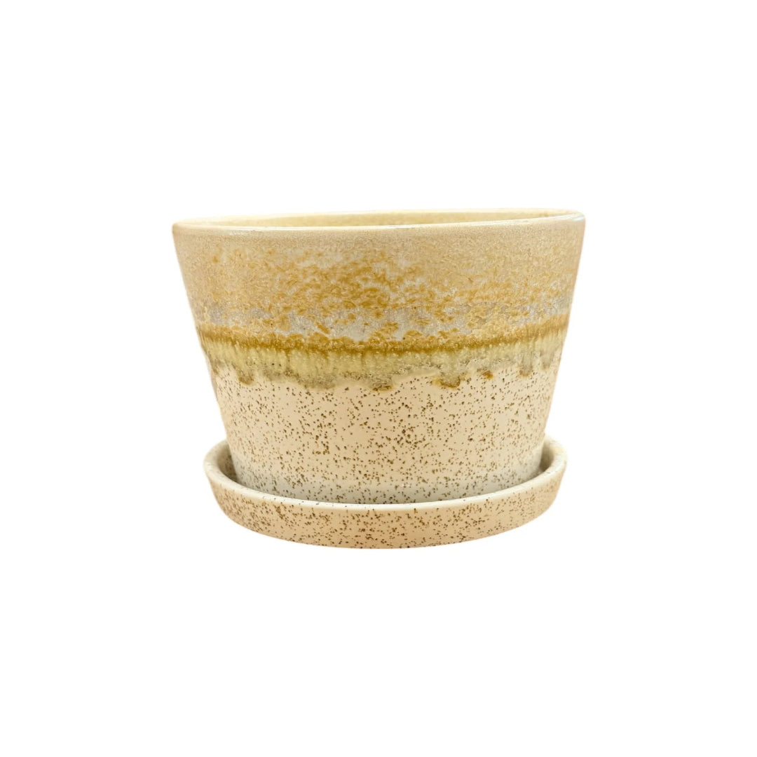 Speckled Beige Ceramic Planter Pot with Saucer