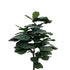 Artificial fiddle leaf tree with large realistic green leaves