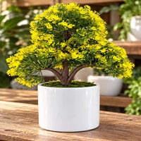 Artificial Yellow Blossom Bonsai Tree in White Pot