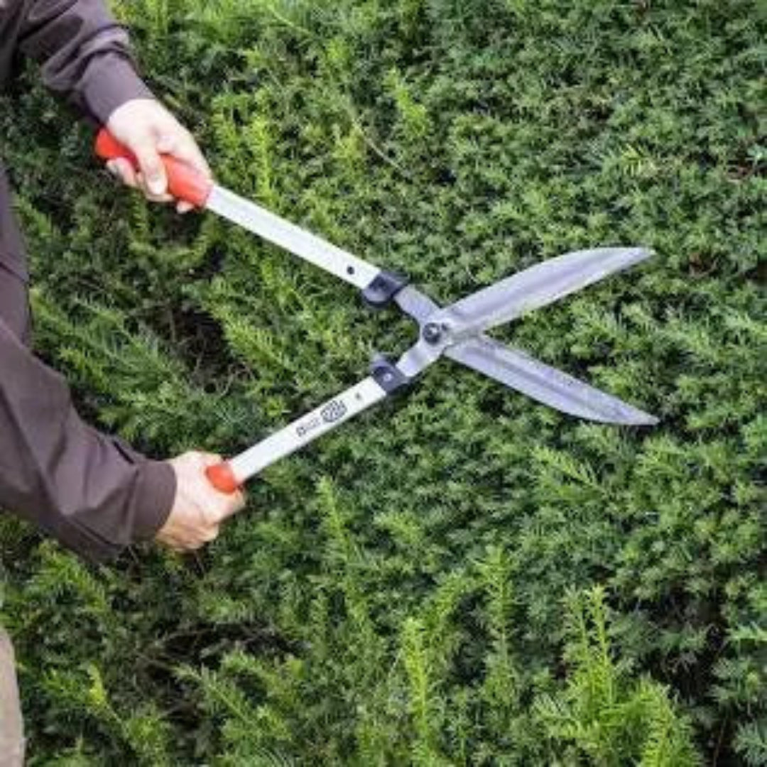 Hedge Shears