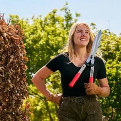 Hedge Shears