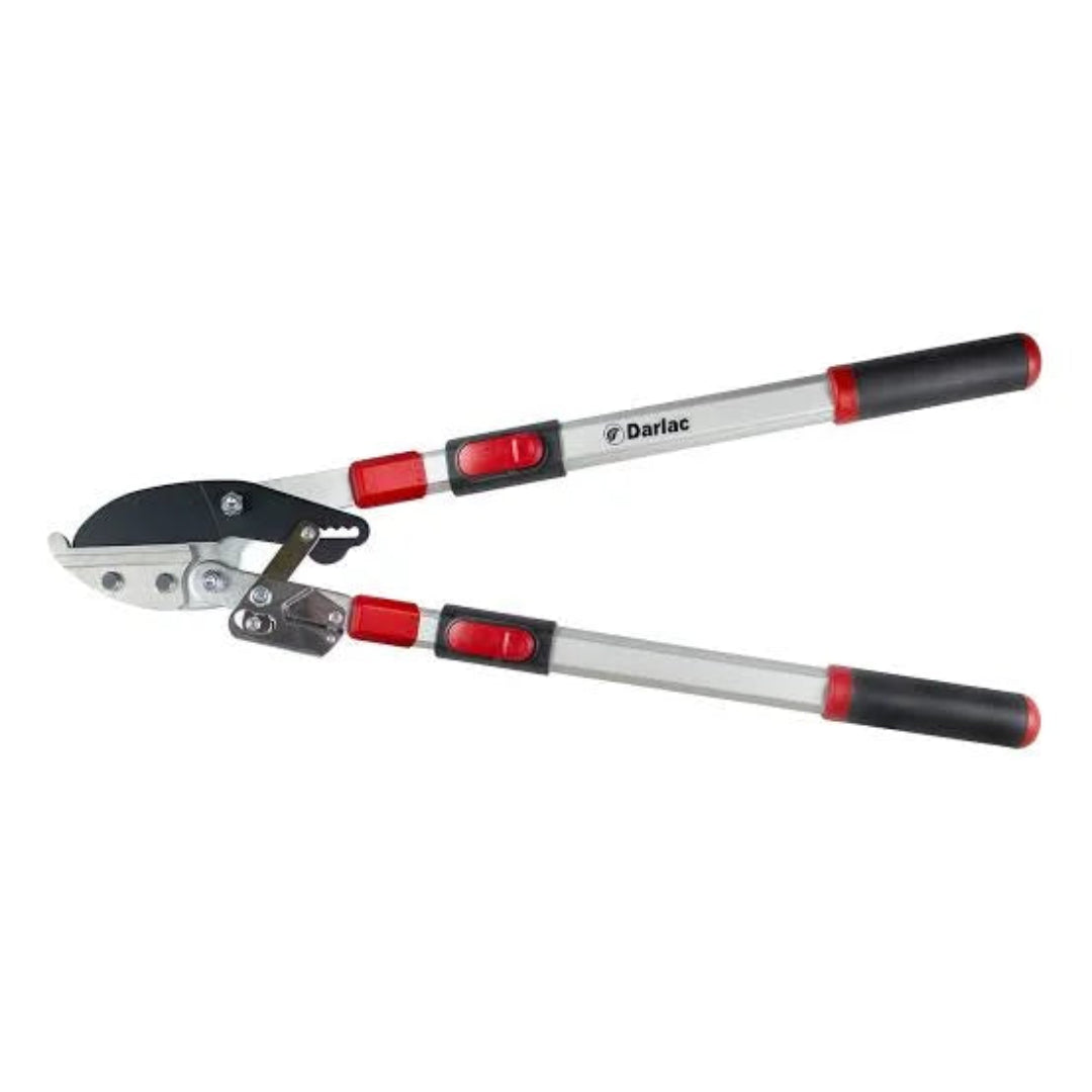 Ratchet Lopper