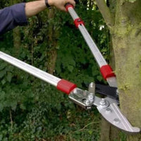 Telescoping Ratchet Lopper