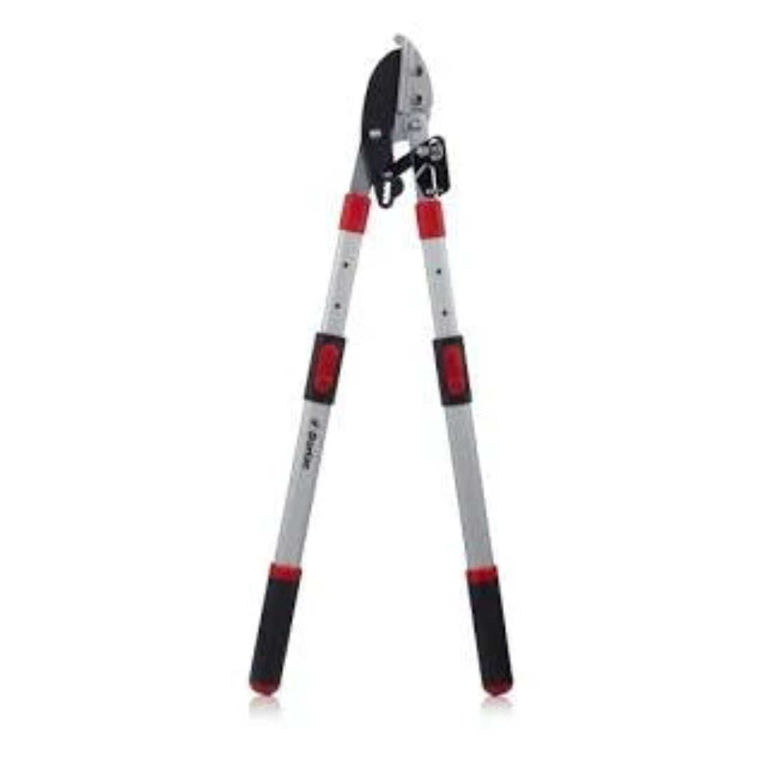 Telescoping Ratchet Lopper