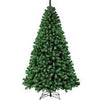 Live Christmas Tree