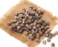 Organic Moringa Seeds