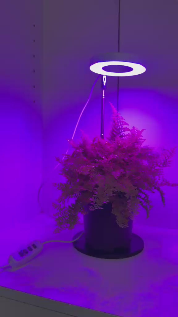 LED Plant Grow Light