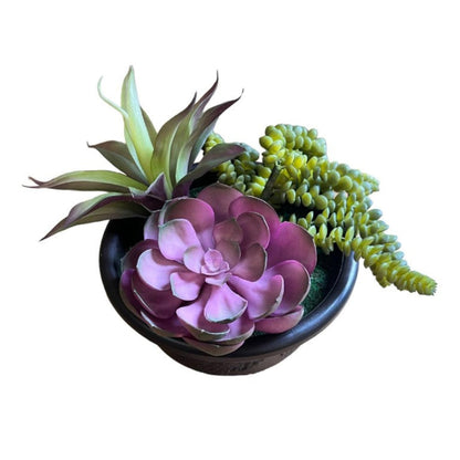 Artificial Gorgeous Succulent Plant in Plastic Pot