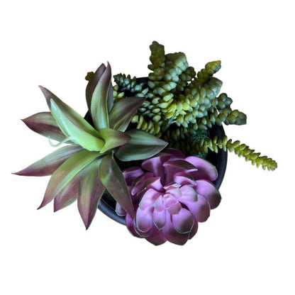 Artificial Gorgeous Succulent Plant in Plastic Pot