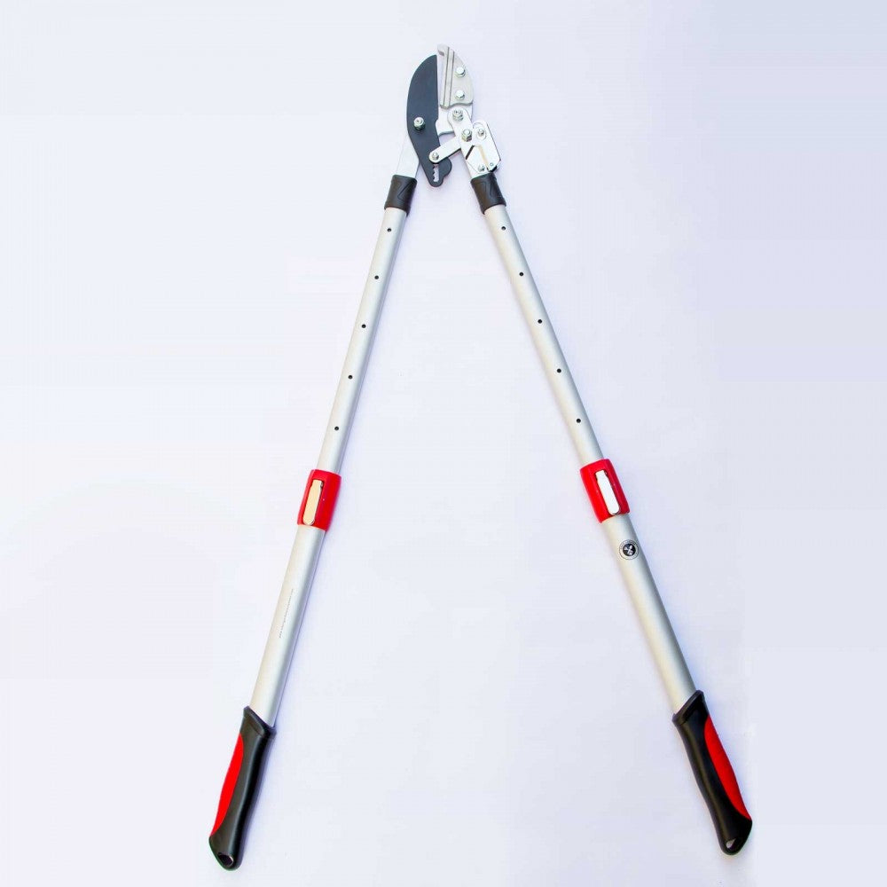 Telescoping Ratchet Lopper