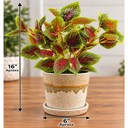 Artificial Coleus Plant with Decorative Ceramic Pot (Perfect Gift)
