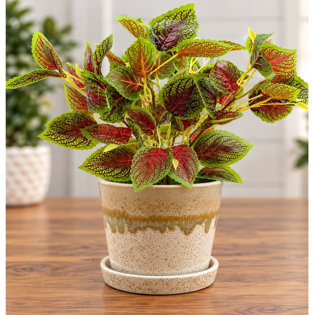 Artificial Coleus Plant with Decorative Ceramic Pot (Perfect Gift)