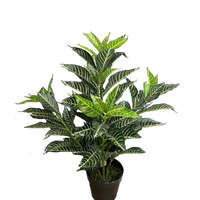Artificial Plant : Green Zebra in Pot with 125 Real Touch Leaves